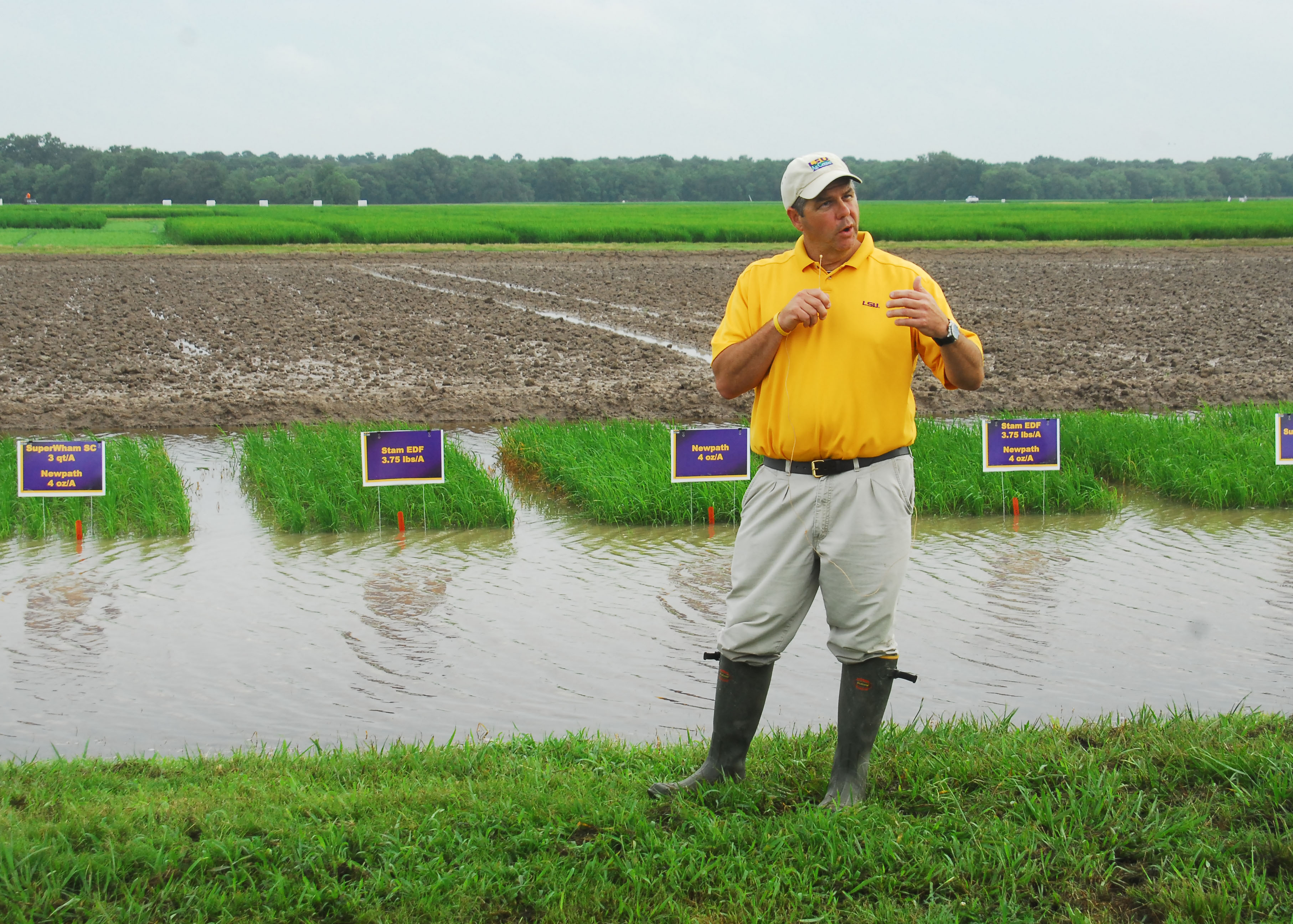 Eric Webster in front of rice test plot1.jpg thumbnail